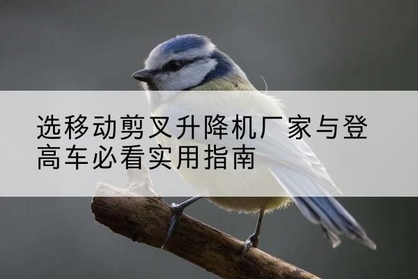 竹山电动升降机厂家-选移动剪叉升降机厂家与登高车必看实用指南