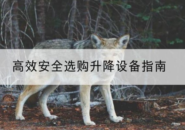 竹山升降货梯厂家推荐-*安全选购升降设备指南