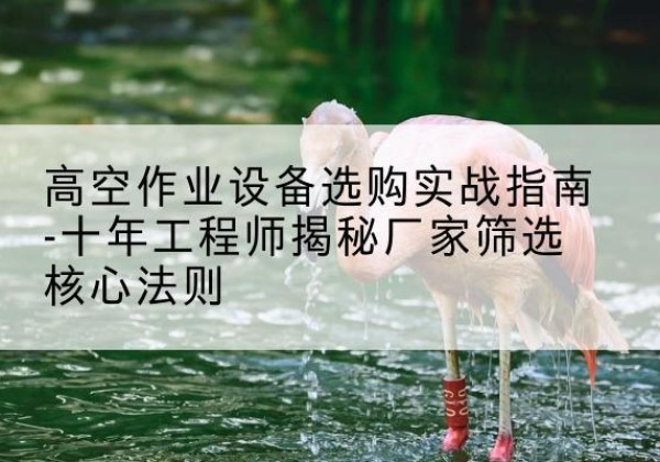 竹山剪叉式升降机厂家-高空作业设备选购实战指南-十年工程师揭秘厂家筛选核心法则